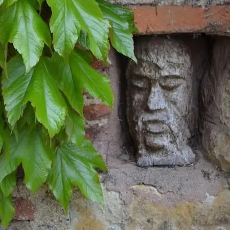 Maison Spacieuse Face Aux Pyrenees *